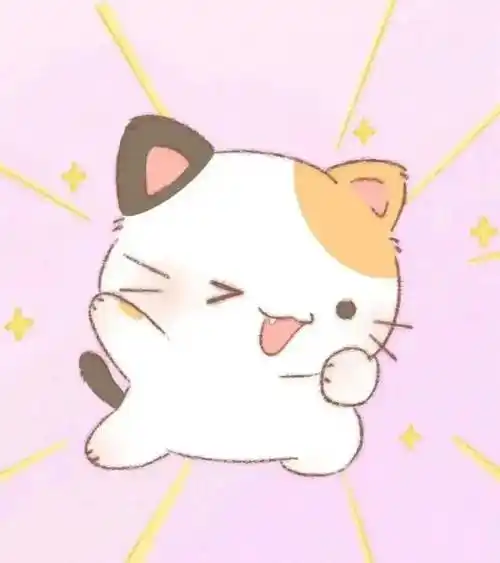 User_3